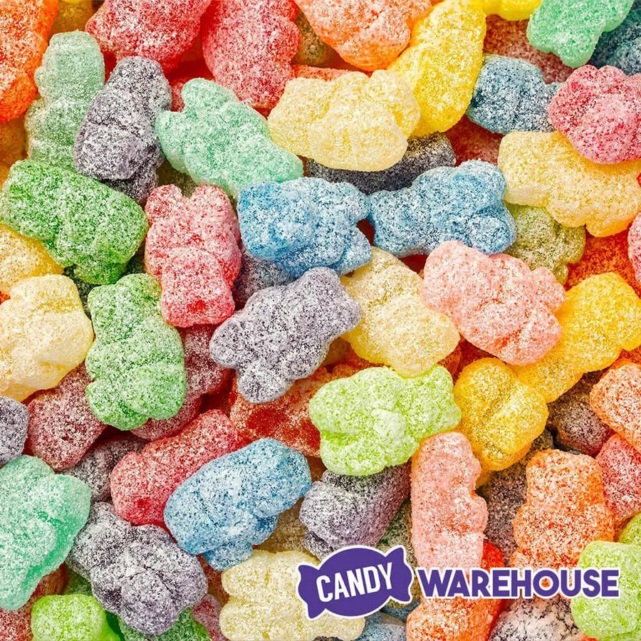 Albanese Sour Gummy Bears 12Flavors 32Ounce Bag Candy Warehouse