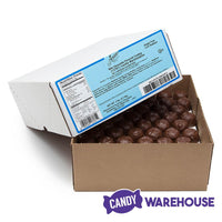 Asher's Sugar Free Vanilla Marshmallow Chocolates - Milk: 5LB Box - Candy Warehouse
