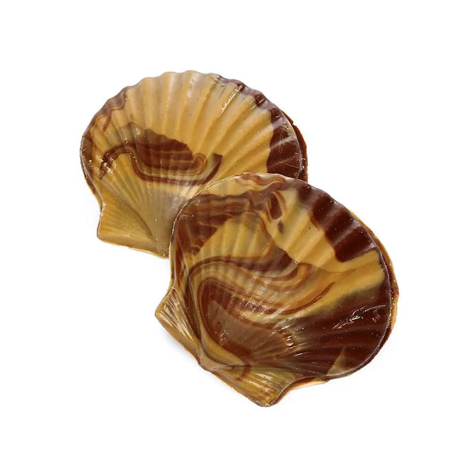 Seashell Shaped Candies | Candy Warehouse – Candy Warehouse
