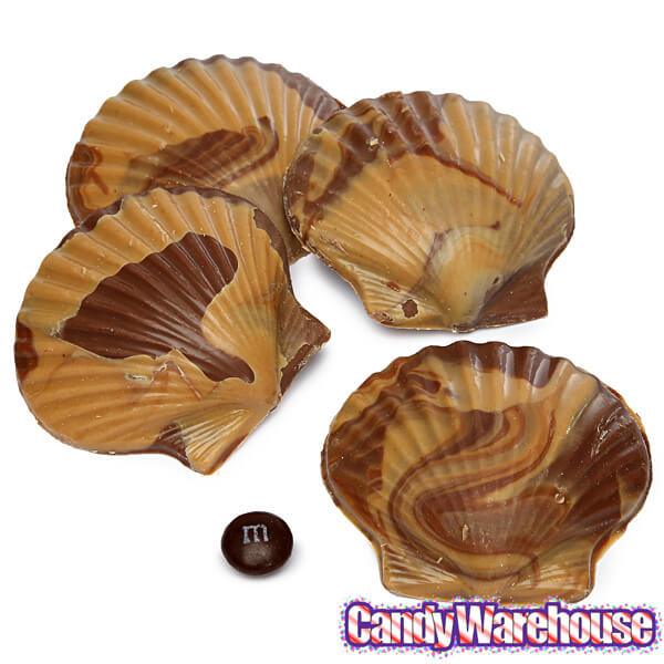 Asher's Swirled Milk Chocolate and Peanut Butter Sea Shells Candy: 64-Piece Box - Candy Warehouse