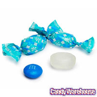 Barnier Mini Mints Hard Candy: 1KG Bag - Candy Warehouse