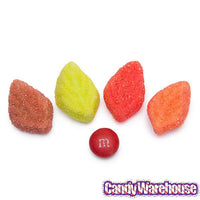 Brach's Autumn Jelly Leaves: 11-Ounce Bag - Candy Warehouse