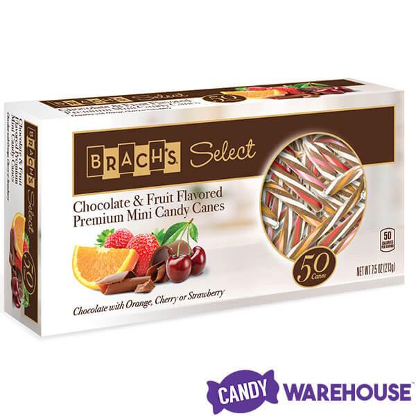 Brach's Chocolate and Fruit Flavored Premium Mini Candy Canes: 50-Piece Box - Candy Warehouse