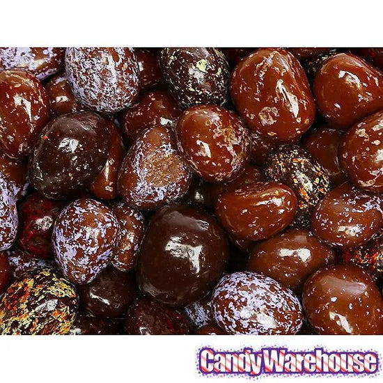 Brach's Chocolate Covered Jelly Beans 9Ounce Bag Candy Warehouse