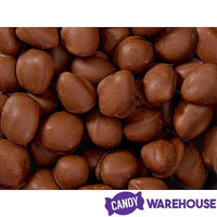 Brach's Double Dippers Milk Chocolate Covered Peanuts: 12-Ounce Bag - Candy Warehouse