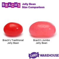 Brach's Jumbo Jelly Beans: 13-Ounce Bag - Candy Warehouse
