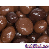 Brach's Milk & Dark Chocolate Caramel & Nut Mix Candy: 8-Ounce Bag - Candy Warehouse