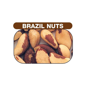 Brazil Nuts - Shelled Raw: 44LB Bag - Candy Warehouse