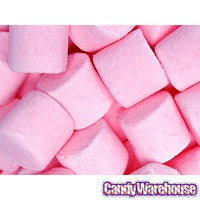 Campfire Mallow Bursts Marshmallows - Pink Lemonade: 8-Ounce Bag - Candy Warehouse