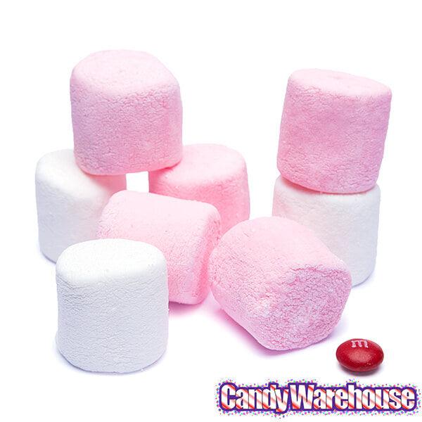 Campfire Tutti Frutti Marshmallows: 10-Ounce Bag - Candy Warehouse