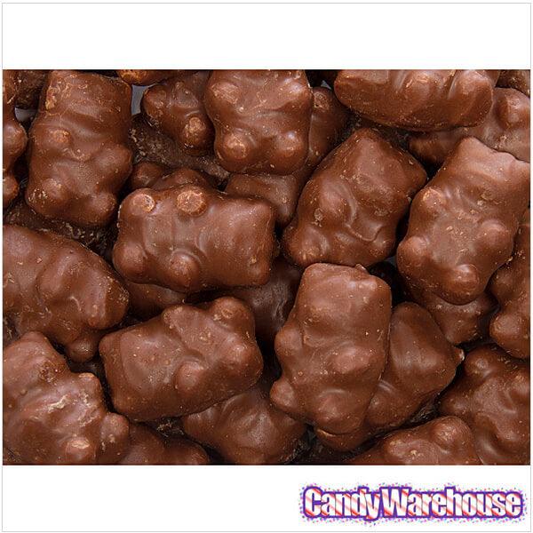 Chocolate Covered Cinnamon Bears: 14-Ounce Bag - Candy Warehouse