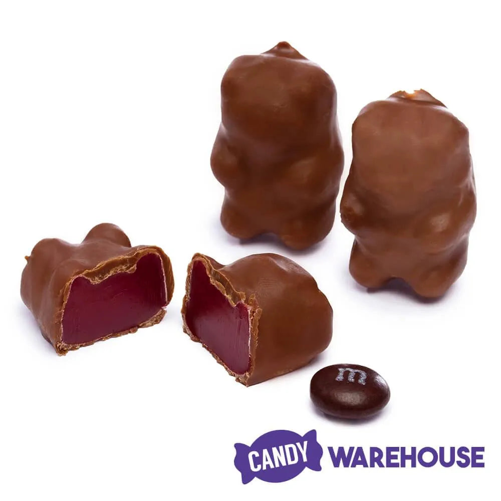 Chocolate Covered Cinnamon Bears 3LB Bag Candy Warehouse
