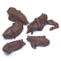 Chocolate Covered Crickets: 100-Piece Tub - Candy Warehouse