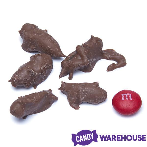 Chocolate Covered Crickets: 100-Piece Tub - Candy Warehouse
