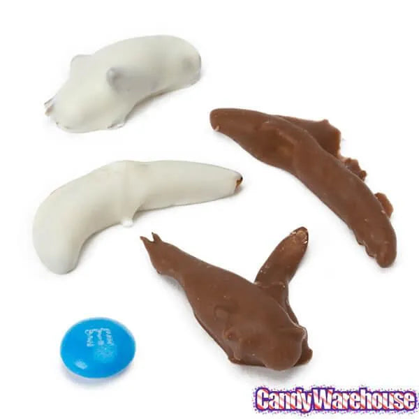 Bulk Insect Candy Chocolate Covered Insects Packs: 24-Piece Box – Candy Warehouse