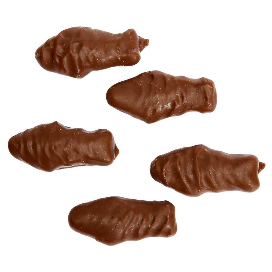 Chocolate Covered Red Gummy Fish: 5LB Bag - Candy Warehouse