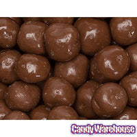 Chocolate Covered S'Moresels: 2LB Bag - Candy Warehouse