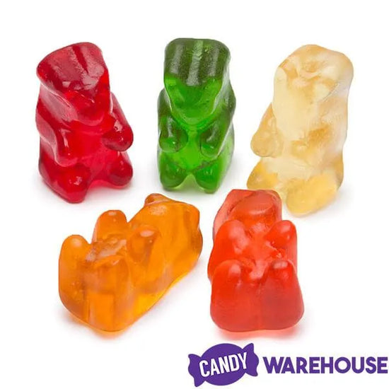 Crayola Gummy Bears Candy 2LB Bag Candy Warehouse