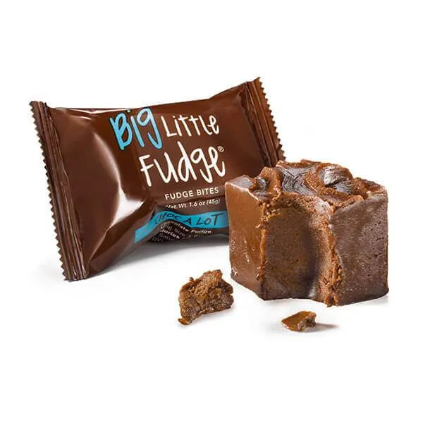 Fudge Bites - Chocolate: 24-Piece Display – Candy Warehouse