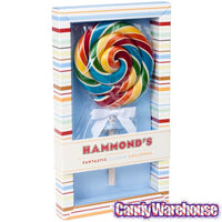 Giant 10-Ounce Rainbow Swirl Lollipop in Gift Box - Candy Warehouse