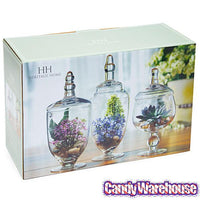 Glass Candy Jars with Lids - 6-Inch: 3-Piece Set - Candy Warehouse