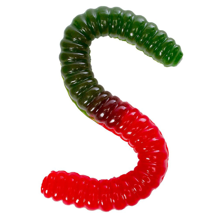 Green & Red 2-Foot-Long Giant Gummy Worm - Candy Warehouse