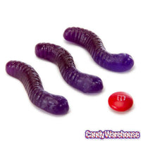 Gummy Inch Worms - Grape: 5LB Bag - Candy Warehouse