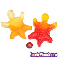 Gustaf's Jumbo Gummy Turtles Candy: 1KG Bag - Candy Warehouse
