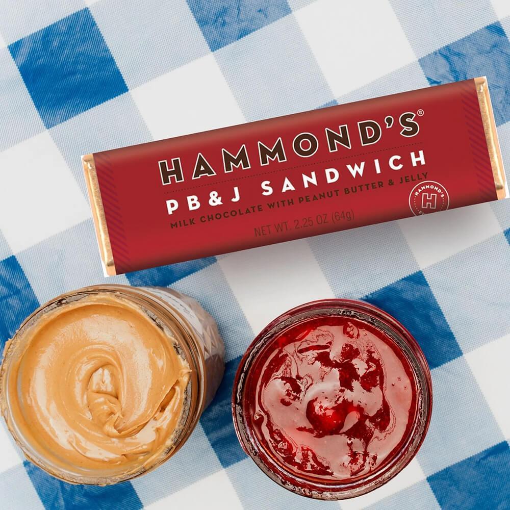 Hammond's PB&J Sandwich Milk Chocolate Bars: 12-Piece Box - Candy Warehouse