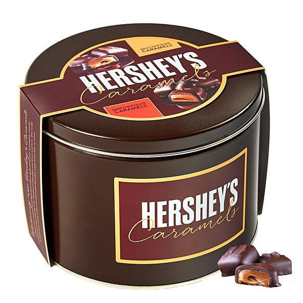 Hershey's Caramels - Milk and Dark Chocolate Caramel Candy: 2.5LB Gift Tin - Candy Warehouse