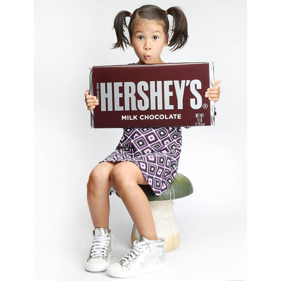 Hershey's Giant 5LB Chocolate Bar - Candy Warehouse