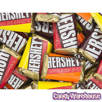 Hershey's Special Dark Miniatures Chocolate Bars: 10.1-Ounce Bag - Candy Warehouse