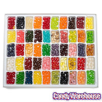 Jelly Belly 50 Flavors Jelly Beans Sampler: 21-Ounce Gift Box - Candy Warehouse