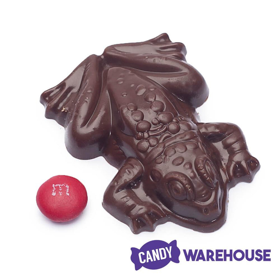 Jelly Belly Harry Potter Chocolate Frogs Packs: 24-Piece Display - Candy Warehouse