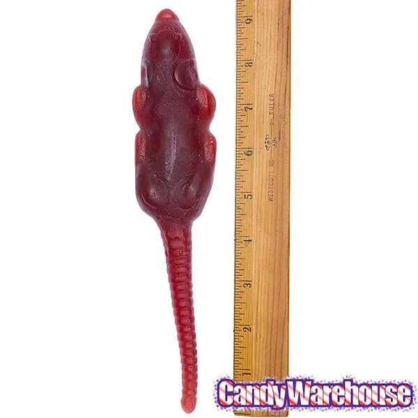 Gummy Rats | Candy Warehouse – Candy Warehouse