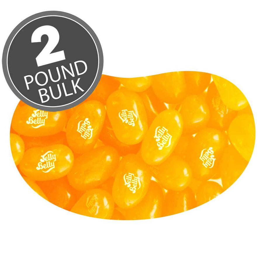 Jelly Belly Sunkist Orange: 2LB Bag - Candy Warehouse