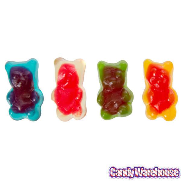 Jelly Filled Gummy Bears Candy: 5LB Bag - Candy Warehouse