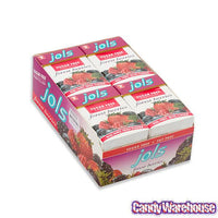 Jols Pastilles Sugar Free Candy Packs - Forest Berries: 12-Piece Box - Candy Warehouse