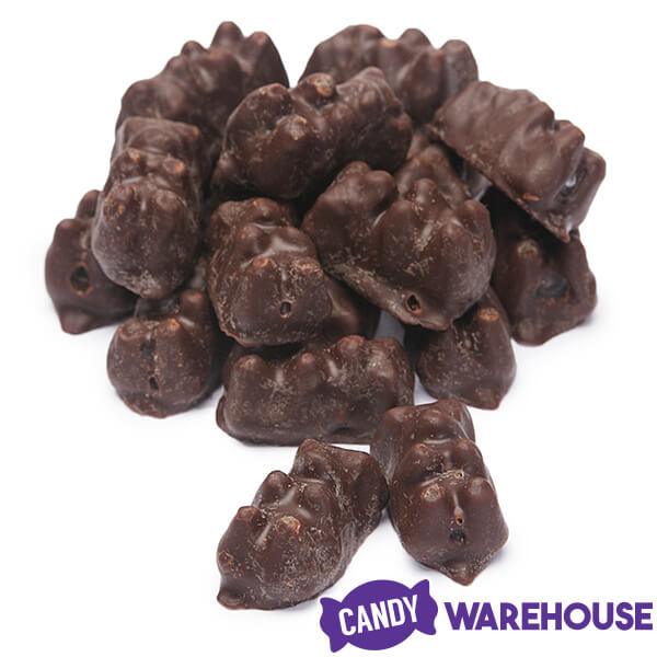Koppers Dark Chocolate Covered Gummi Bears: 1LB Jar - Candy Warehouse