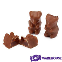 Koppers Milk Chocolate Covered Gummi Bears: 1LB Jar - Candy Warehouse