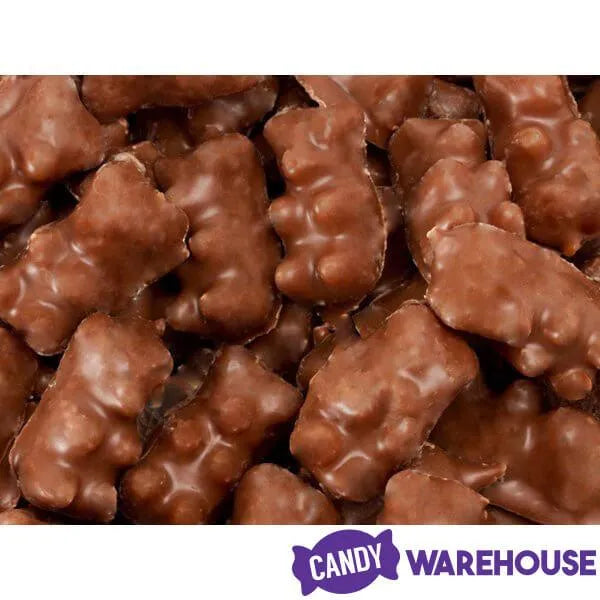 Koppers Milk Chocolate Covered Gummi Bears: 8-Pound Bag – Candy