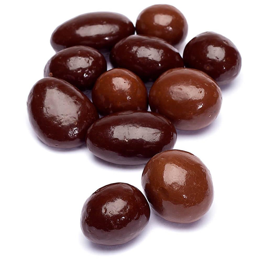 Koppers Sugar Free Chocolate Bridge Mix: 5LB Bag - Candy Warehouse