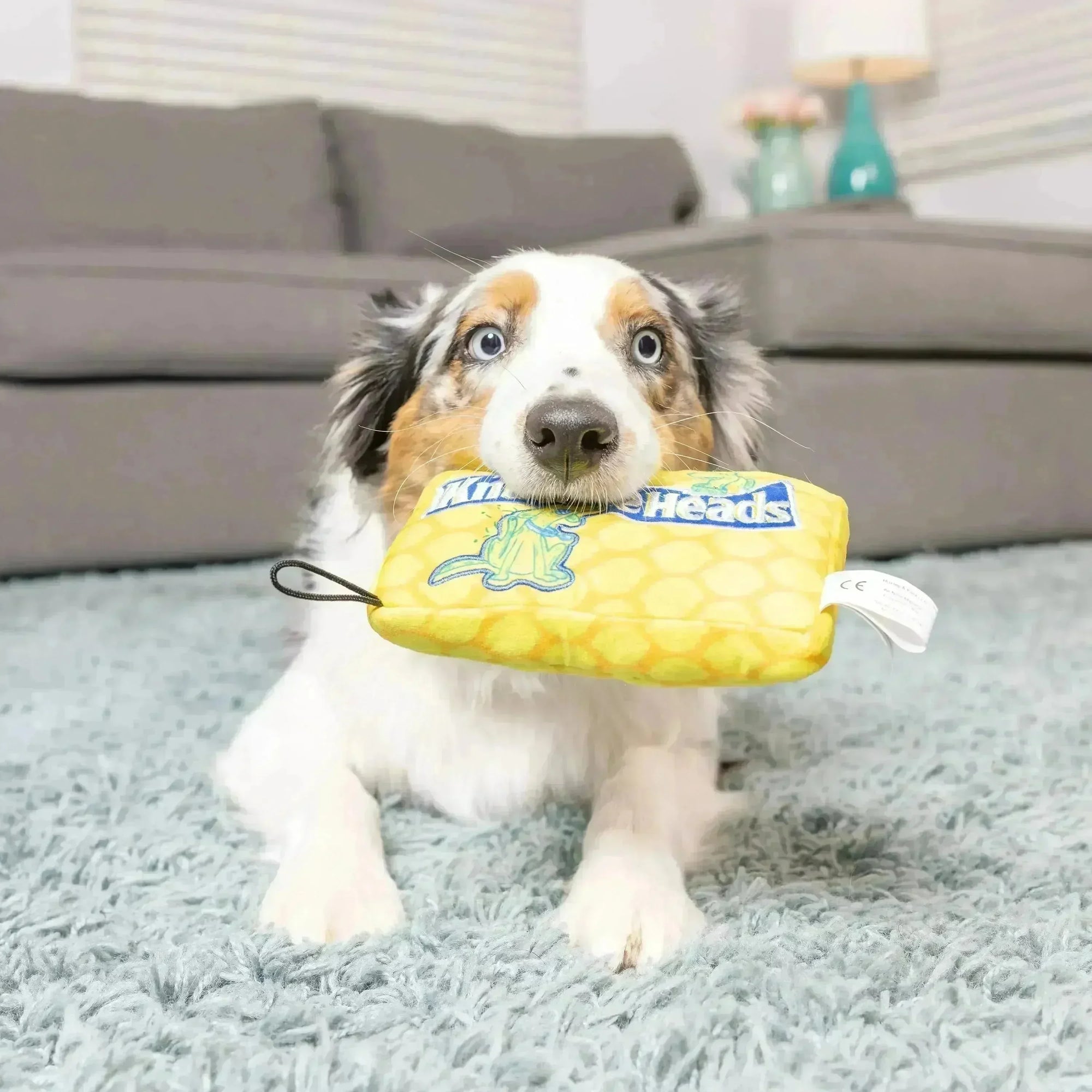 Lulubelle s Power Knuckleheads Candy Warehouse