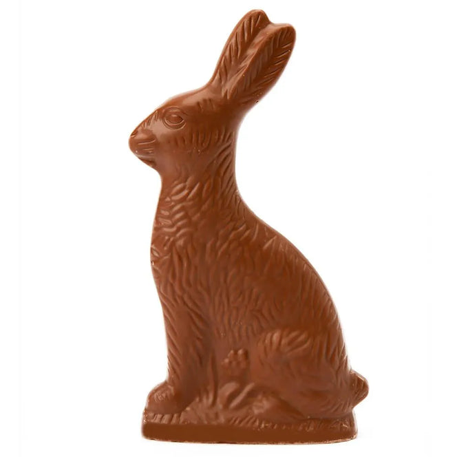 Chocolate Bunny | Candy Warehouse – Candy Warehouse