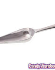 Metal 2-Ounce Candy Scoop