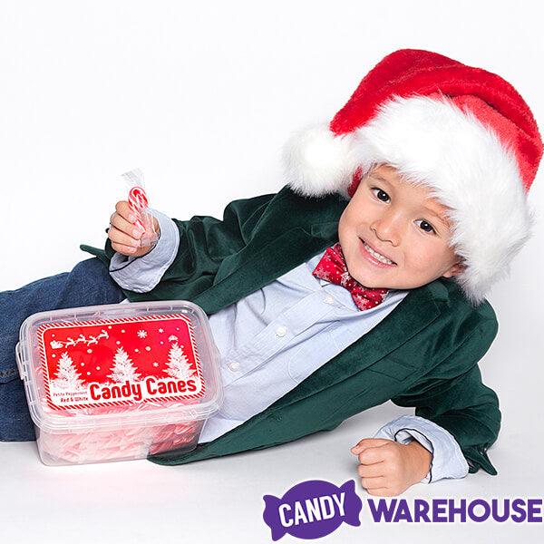 Mini Candy Canes - Red and White: 100-Piece Tub - Candy Warehouse