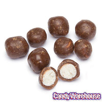 Moon Pie Bites Candy: Giant 1LB Box - Candy Warehouse