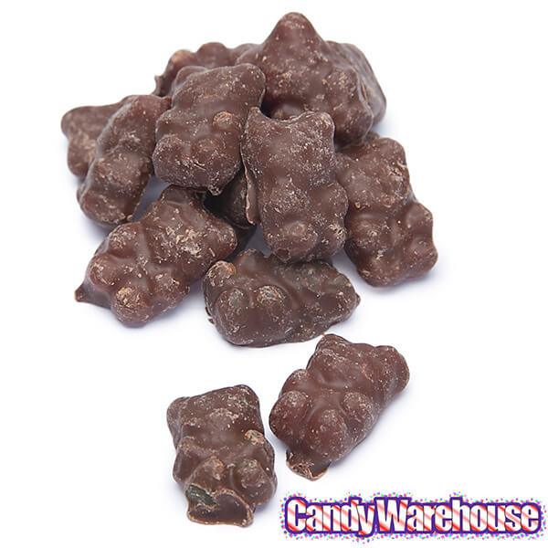 Muddy Bears Chocolate Covered Gummy Bears Candy: Giant 1LB Box - Candy Warehouse