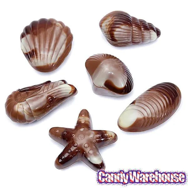 Shell Candies Seashell Shaped Candies | Candy Warehouse – Candy Warehouse