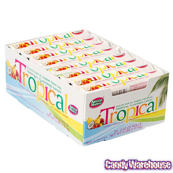 Necco Wafers Candy Rolls - Tropical: 24-Piece Box - Candy Warehouse